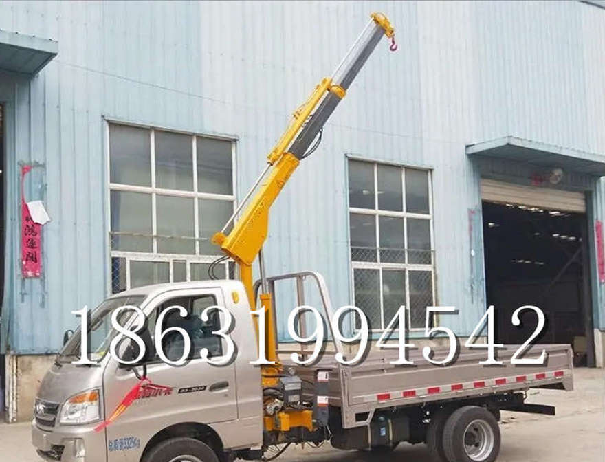 林口区随车吊机加装随车吊小型加装随车吊220伏家用吊机简易电动行走吊机随车吊机搬运